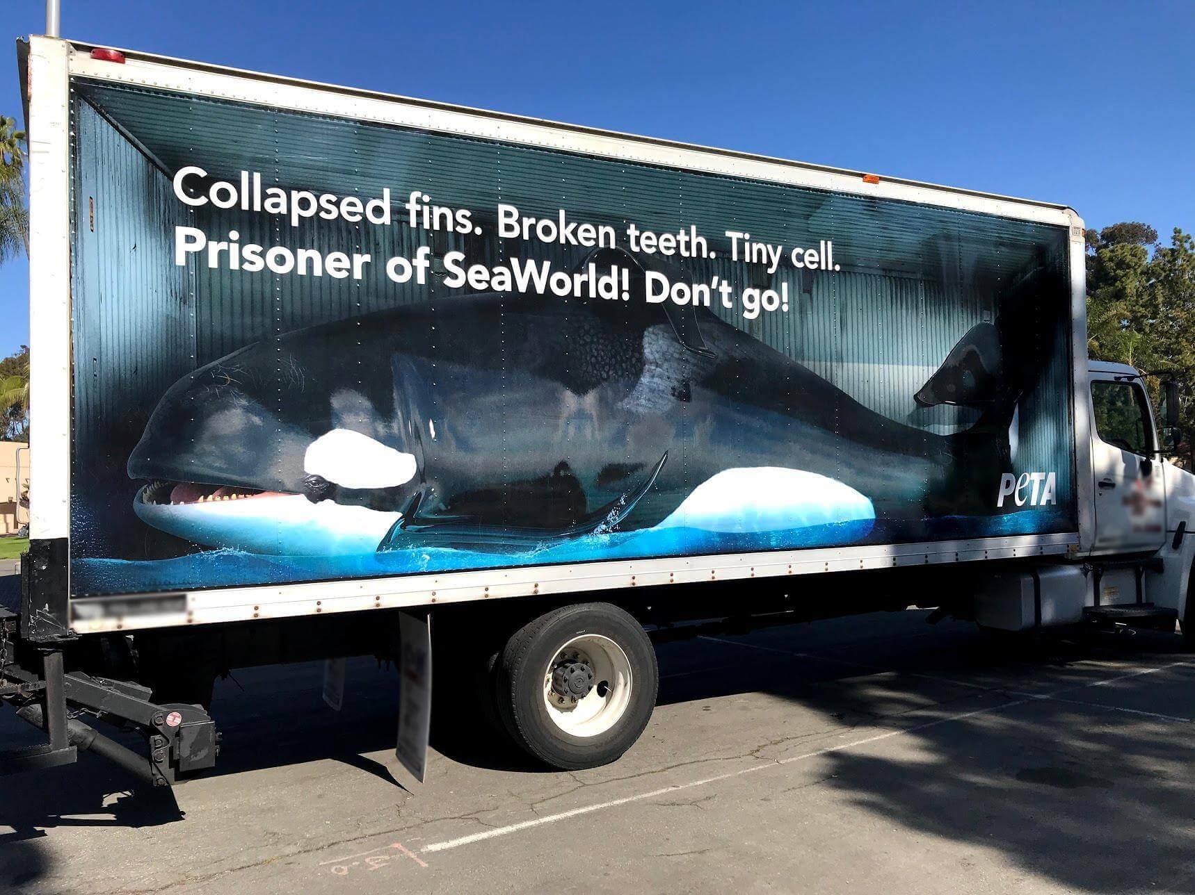 An image of a truck-side ad for PETA. The ad says, "Collapsed fins. Broekn teeth. Tiny cell. Prisoner of SeaWorld! Don't go!" with an image of a whale. 