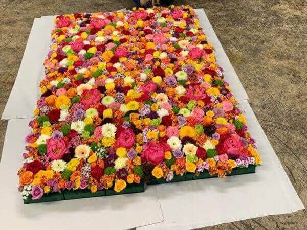 An image of a bed of flowers