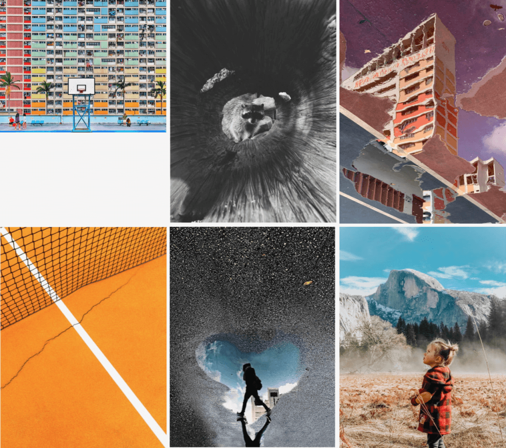An image of a bunch of different images. top left is a basketball court, top middle is a racoon, top right is a building reflected in a puddle, bottom left is a tennis court, bottom middle is a person walking reflected in a puddle, bottom right is a little girl staring at a mountain.