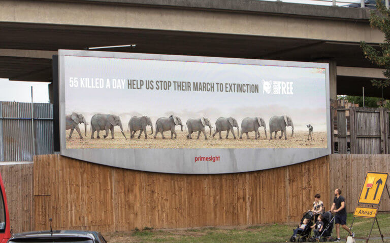 billboard of a line of elephants walking with the text "55 killed a day help us stop their march to extinction"